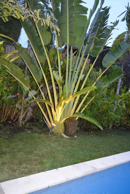 Villa Raquel Seminyak Quarto foto